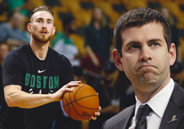 发展提供了 发展提供了