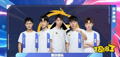 阵容与轮换